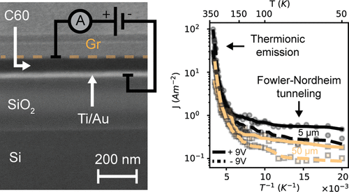 Field and Thermal Emission Limited Charge Injection in Au–C60–Graphene van der Waals Vertical Heterostructures for Organic Electronics