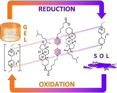 Reversible Self-assembly of a Viologen-based Supramolecular Gel Network under Electrochemical Control