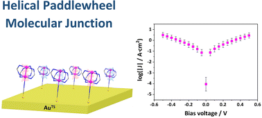 Robust large-area molecular junctions of self-assembled monolayers of a model helical paddlewheel complex